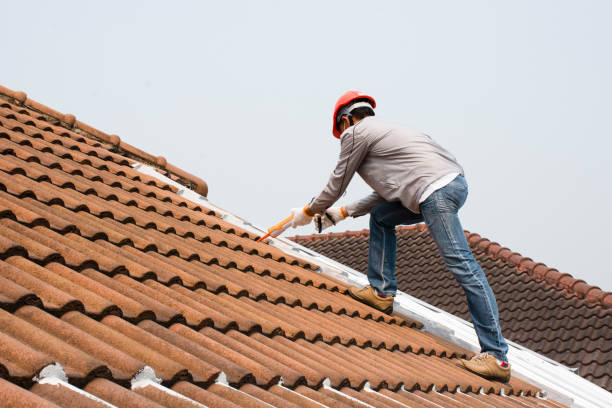 Best Sheet Metal Roofing  in Thomaston, GA